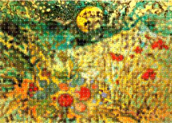 Luna nuova con frutta e papaveri