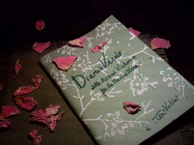 Diario Verde di Teri Volini