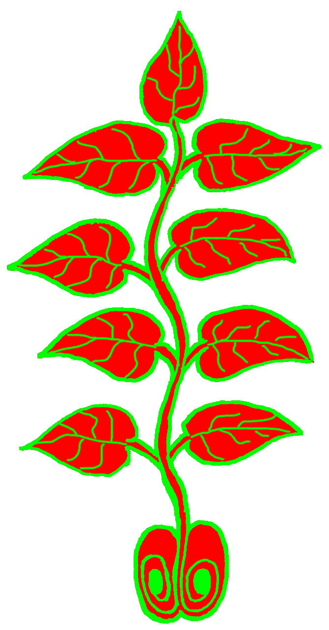 Homepage - Il Germoglio