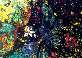 Giardini di mare e di terra  2