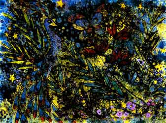 Il ritmo della pavoncella innamorata