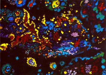 Nata sotto il segno dei pesci